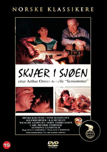 Unexpected Summer (DVD)
